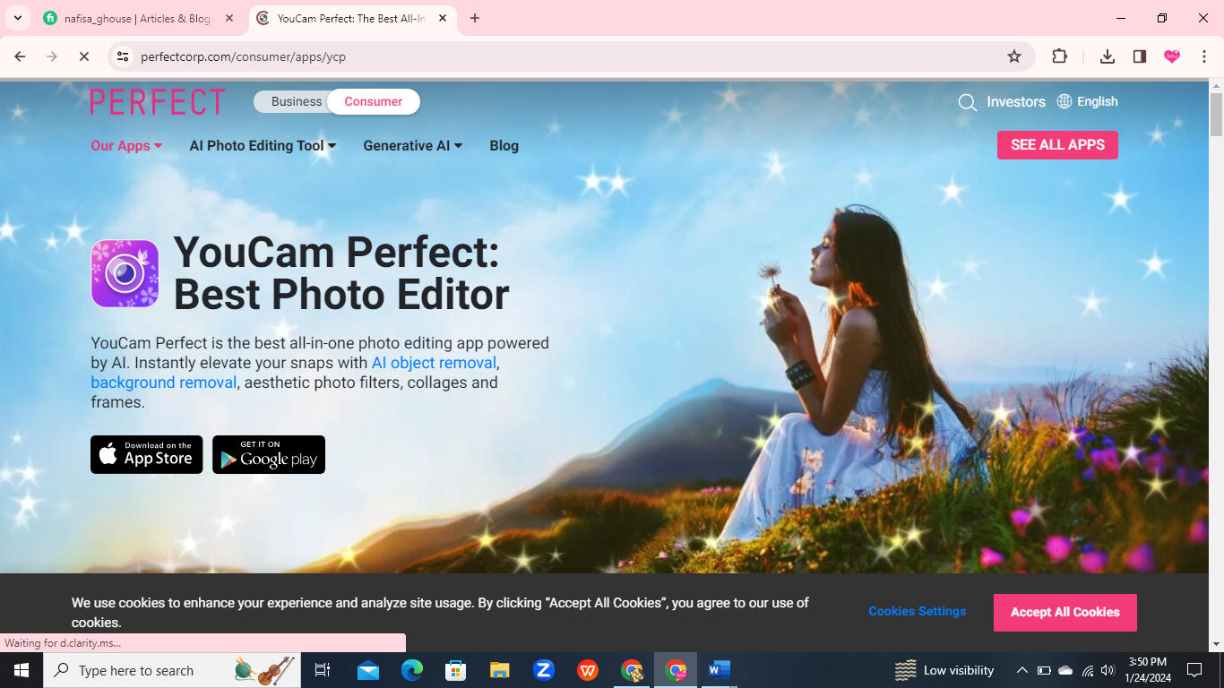 6 Best Ways to Remove Objects from Photos YouCam Perfect: APP Tool 